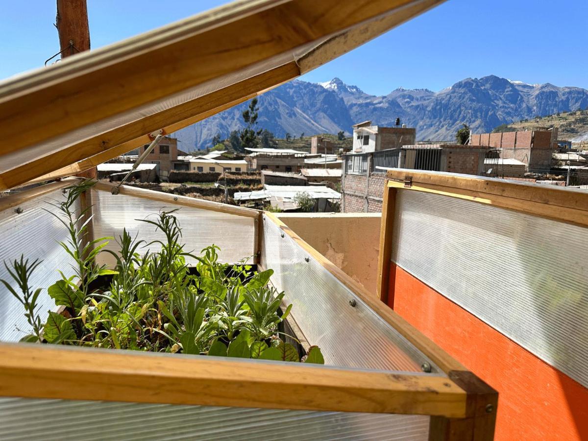 Homestay Pachamama Cabanaconde Zewnętrze zdjęcie
